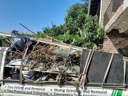 Best Residential Junk Removal  in Henderson, NC